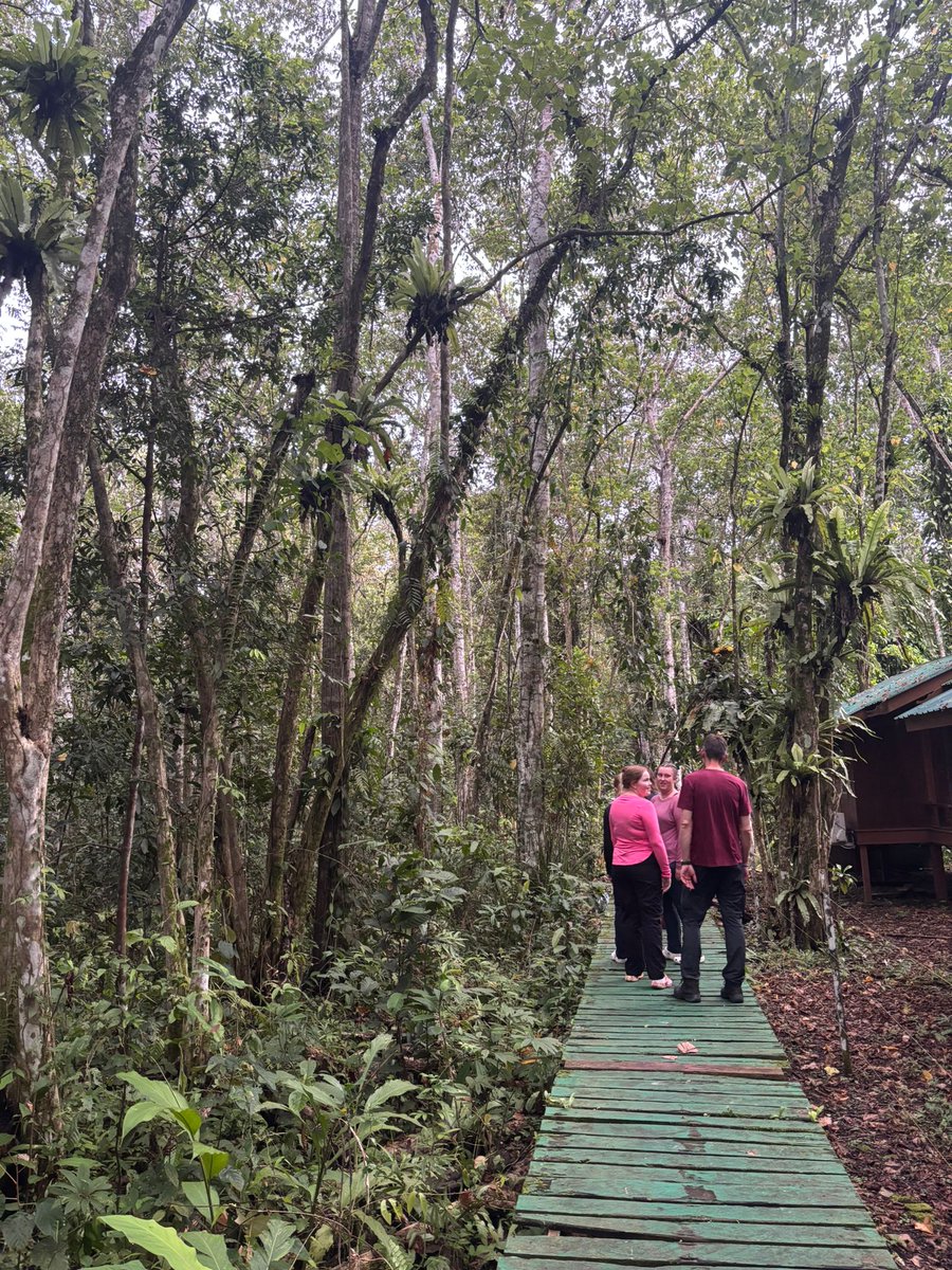 DGS Visits tweet media