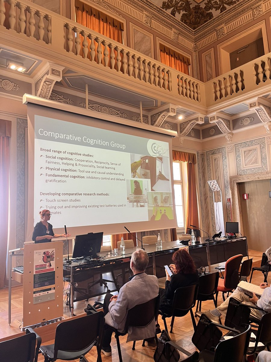 Anastasia Morandi-Raikova tweet media