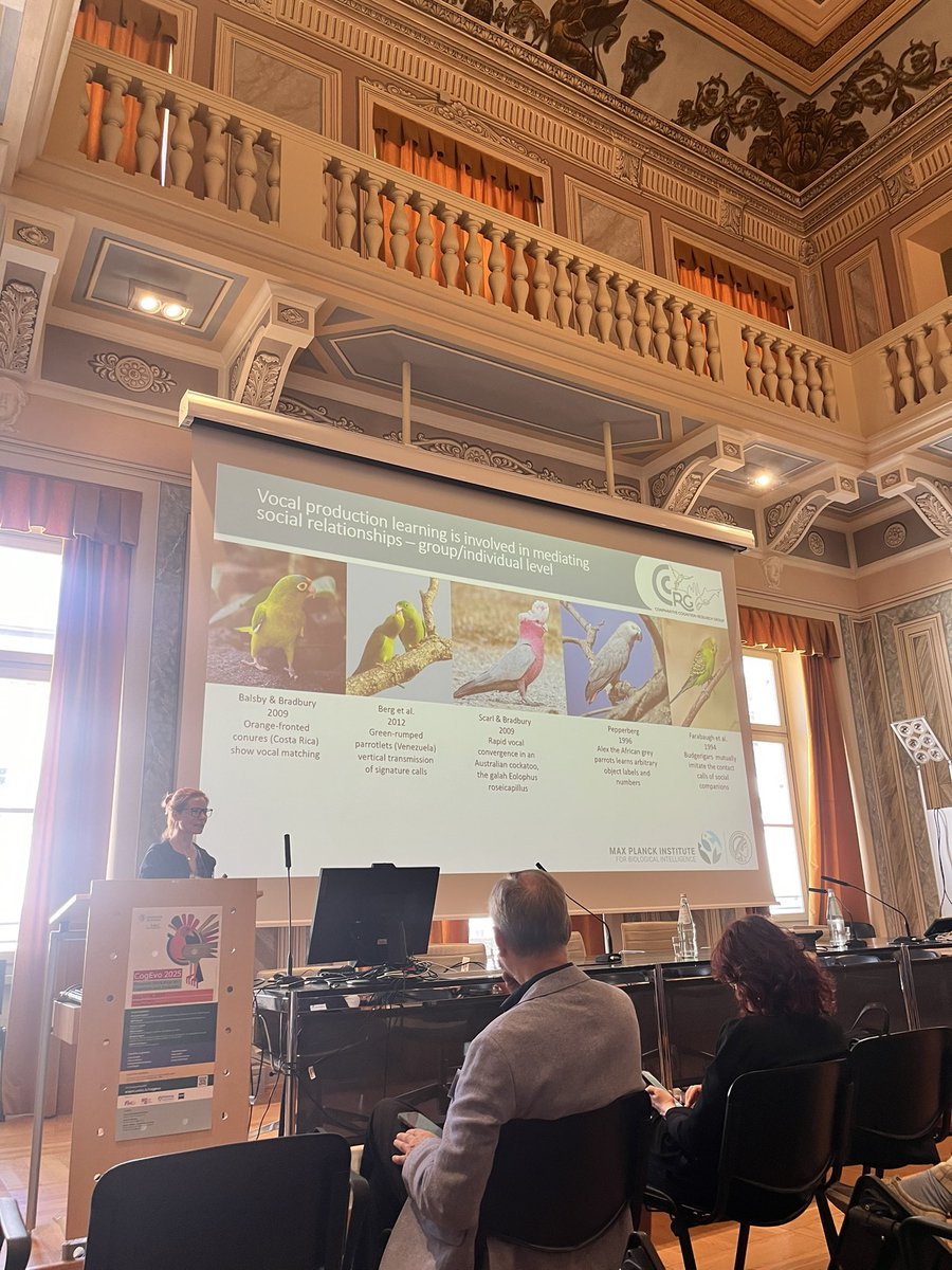 Anastasia Morandi-Raikova (@morandiraikova) on Twitter photo Wrapping up #CogEvo2025 with a fascinating finale!
Anastasia Krasheninnikova delivered our last talk:
"Vocal and motor imitation in parrots" 🦜
<a href="/gVallortigara/">Giorgio Vallortigara</a> <a href="/cimec_unitrento/">CIMeC UniTrento</a> Wrapping up #CogEvo2025 with a fascinating finale!
Anastasia Krasheninnikova delivered our last talk:
"Vocal and motor imitation in parrots" 🦜
<a href="/gVallortigara/">Giorgio Vallortigara</a> <a href="/cimec_unitrento/">CIMeC UniTrento</a>