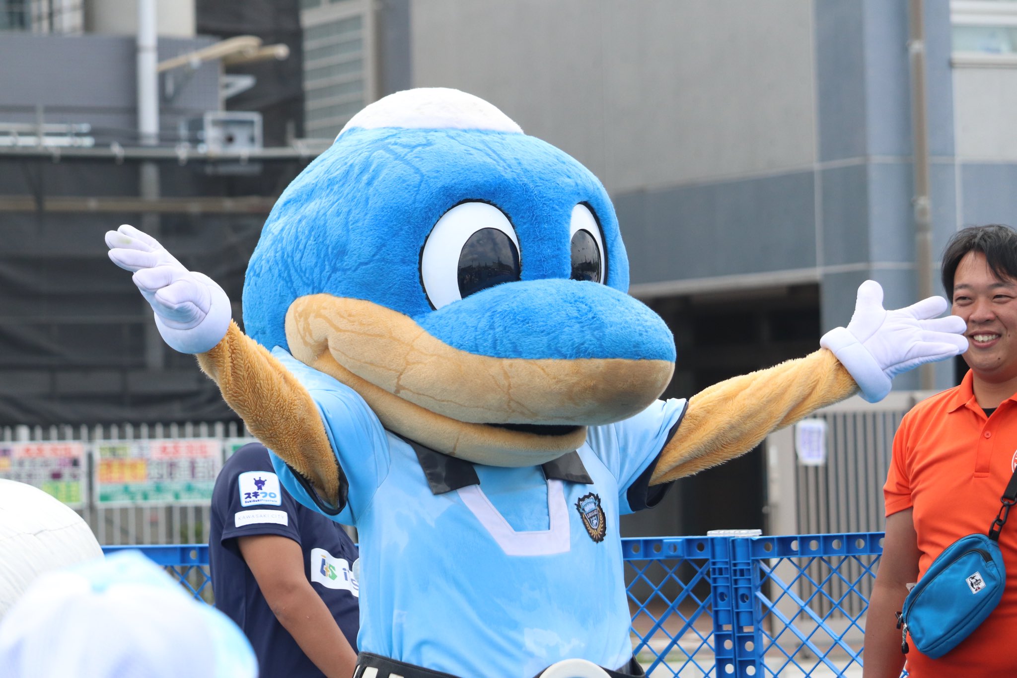 知多、碧、富士 知多、碧、富士 楽天市場】ウイスキー 富士（シリーズ山崎