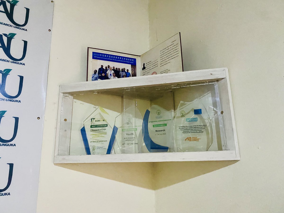 UsanaseAbdu's tweet photo. It’s a blessing to have this awards shelf in just 7 years from a humble beginning as students,with only 75,000 Rwf saved from our living allowance,to building a research organization @AGRIRESEARCHLtd. Special thanks to @UR_CAVM and our partners for their support.#Endlessforward https://t.co/LxTfdLzY86
