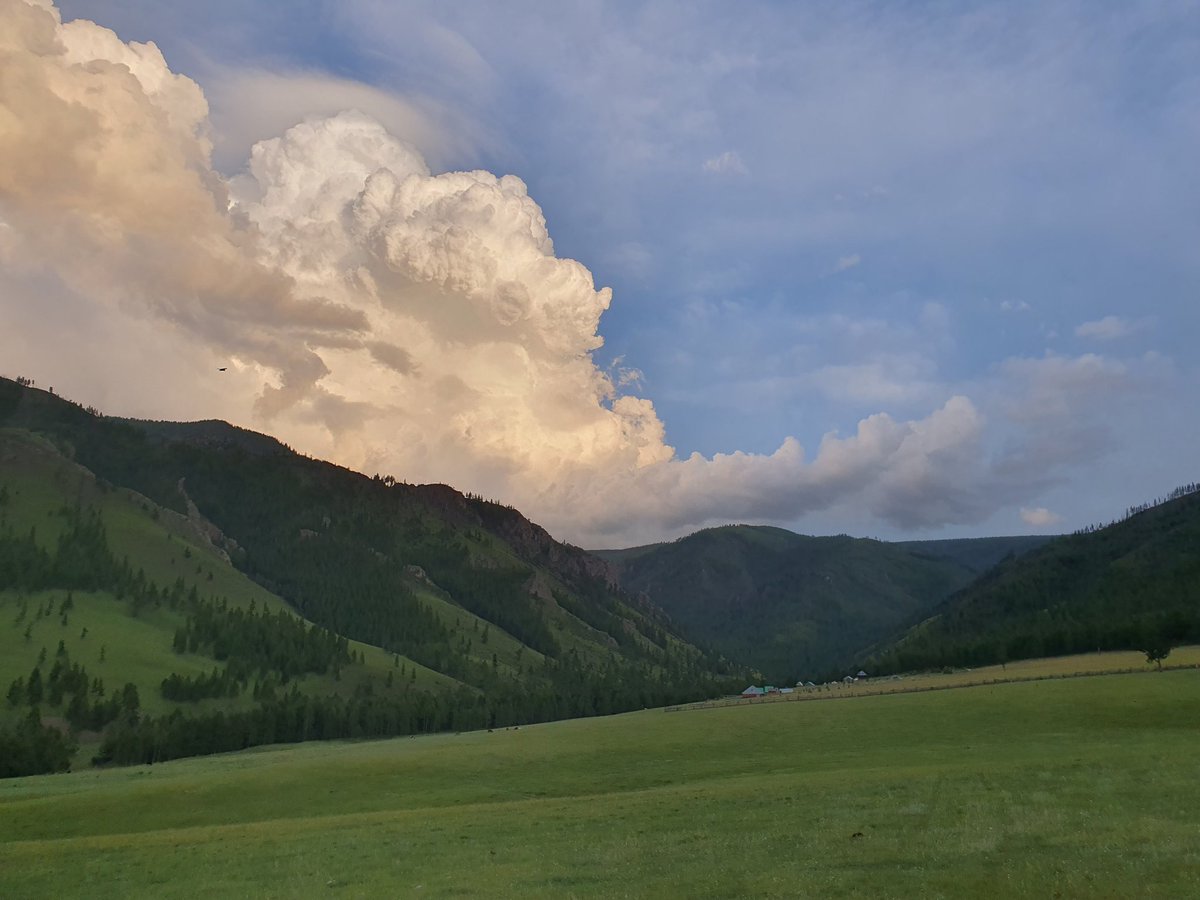 өнөөдөр энэ аманд хононо гэнээ. би одоо тарзан цаашаа болчихлоо. юүүюүү