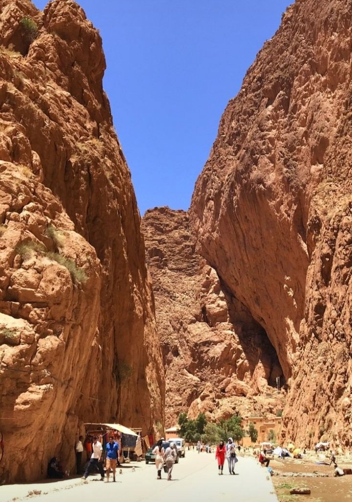 TrtTa241606's tweet photo. 🗻✨ Todra Gorges… A Natural Wonder in the Heart of the Atlas Mountains! ✨🗻
Just a short drive from Tinghir, the majestic Todra Gorges rise like a stone cathedral carved by time and water ⏳
#TodraGorges #Tinghir #VisitMorocco #AtlasMountains 
https://t.co/U83k07rF1p https://t.co/tERc47UKkD