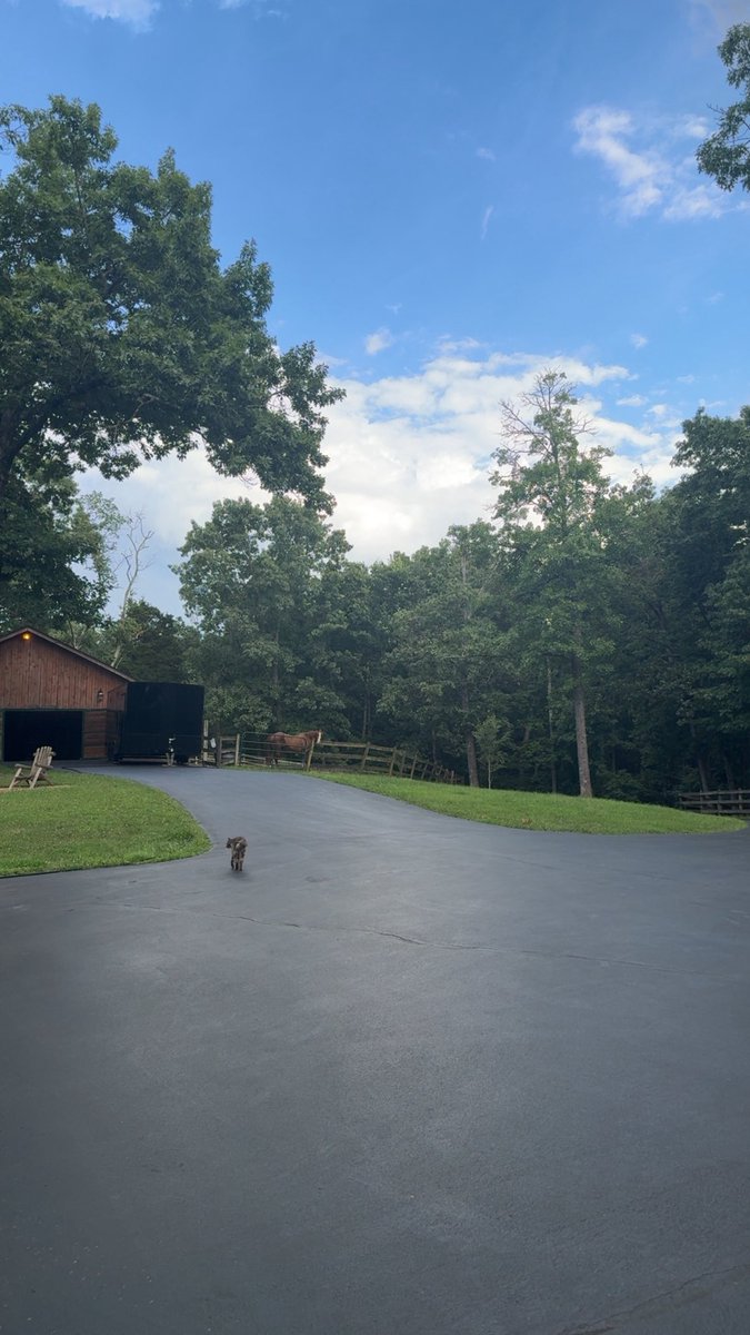 Good beautiful morning! Happy Friday