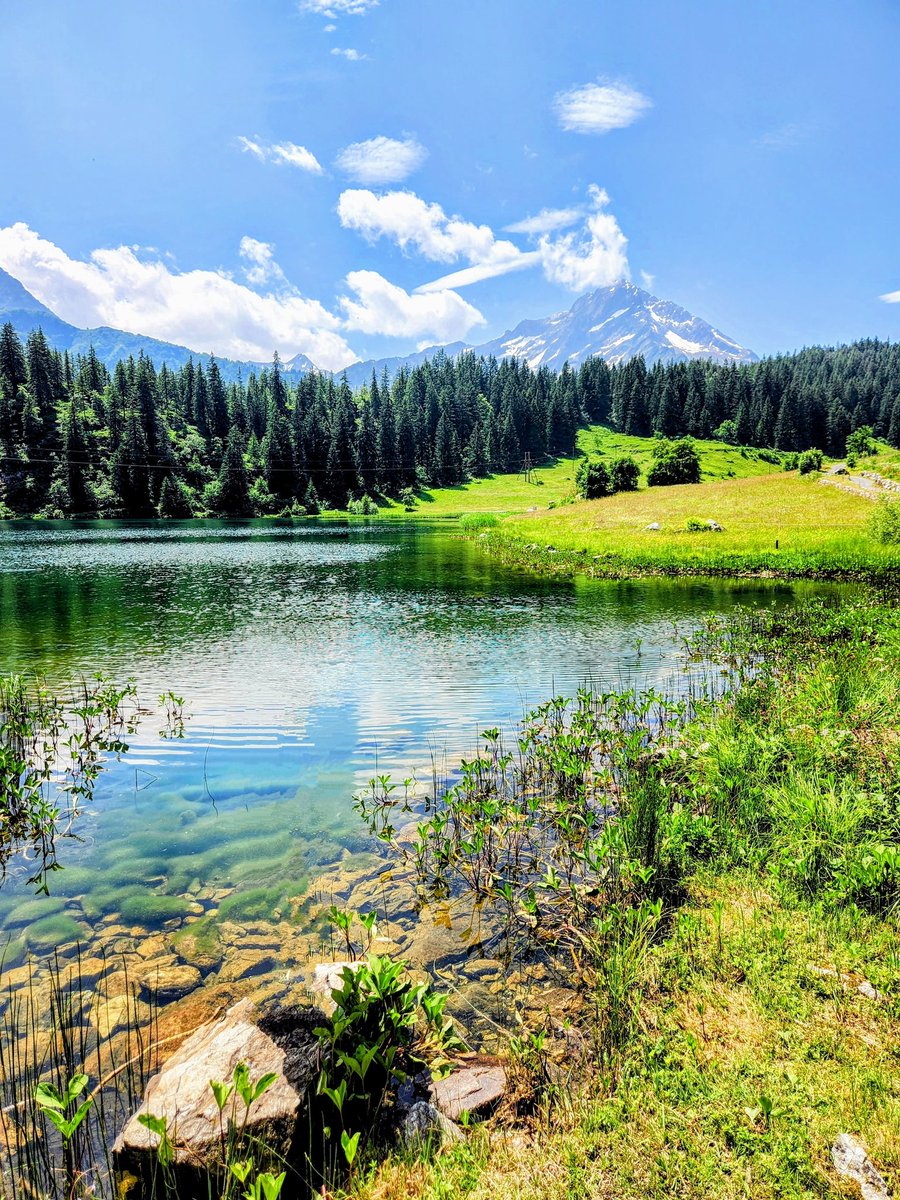 HikingSchweiz's tweet image. A walk (and swim!) to the Golzerensee in Canton Uri, Switzerland 🇨🇭