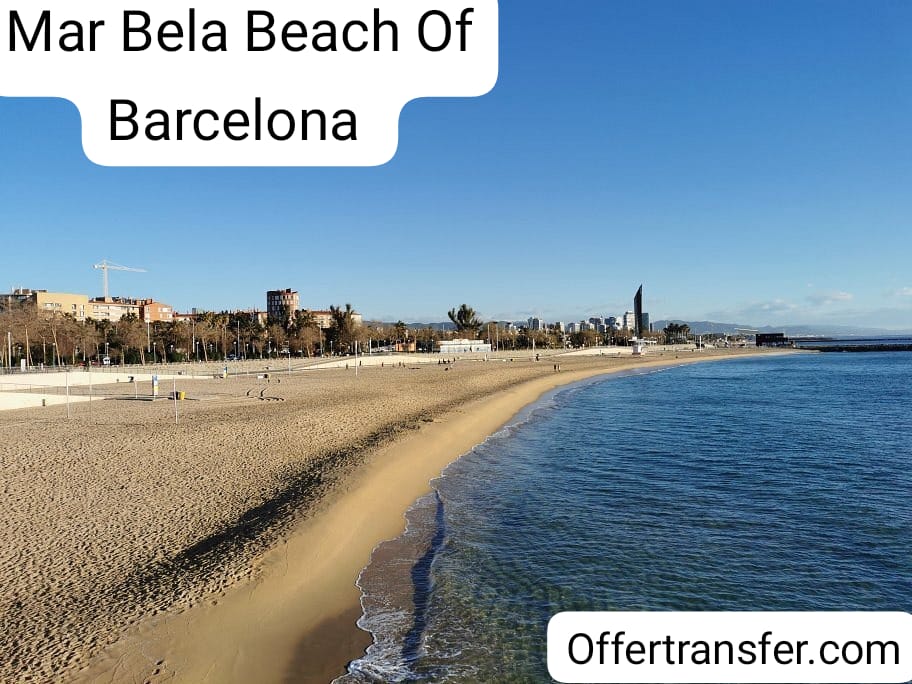 offertransfer tweet picture