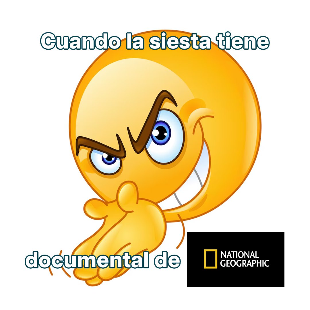 DisneyPlusES's tweet image. El documental era sobre perezosos y me metí tanto en el papel que me dormí con ellos 🦥😴