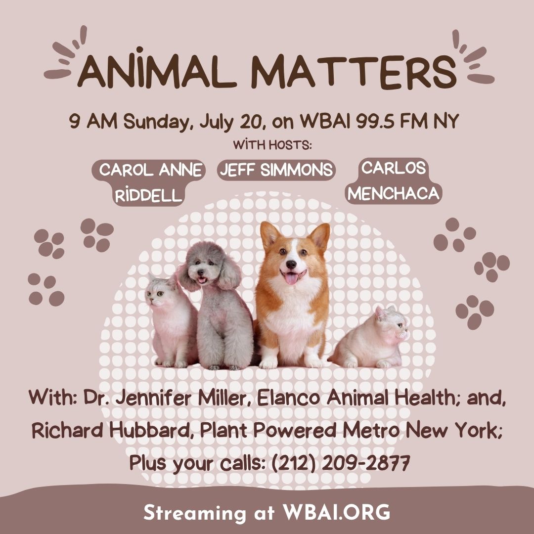 Don’t miss #AnimalMatters on <a href="/WBAI/">WBAI New York at 99.5 FM, streaming at wbai.org</a> 99.5 FM NY, Sunday, July 20 at 9 AM ET! Host <a href="/JackHites/">Jeff Simmons</a> welcomes Dr. Jennifer Miller (<a href="/Elanco4Pets/">Elanco Pet Health US</a>) on preventing parvovirus, plus Richard Hubbard of Plant Powered Metro NY on plant-based pet meals.