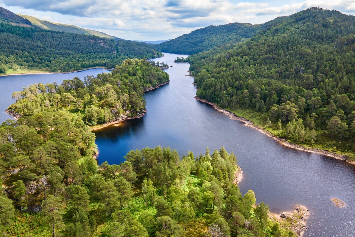 treesforlifeuk's tweet image. #Wildlife once flourished in a mosaic of habitats across Scotland. But over time, changes in how we used the land and species we’ve lost has led to the decline of our native woodlands.
Sponsor a native tree today and be part of restoring the #CaledonianForest and the life it…