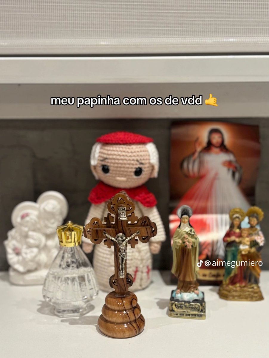 “Qual o tamanho do seu hiperfoco no papa Leão?” 

A vozinha dela fez um Leãozinho 🥹💛