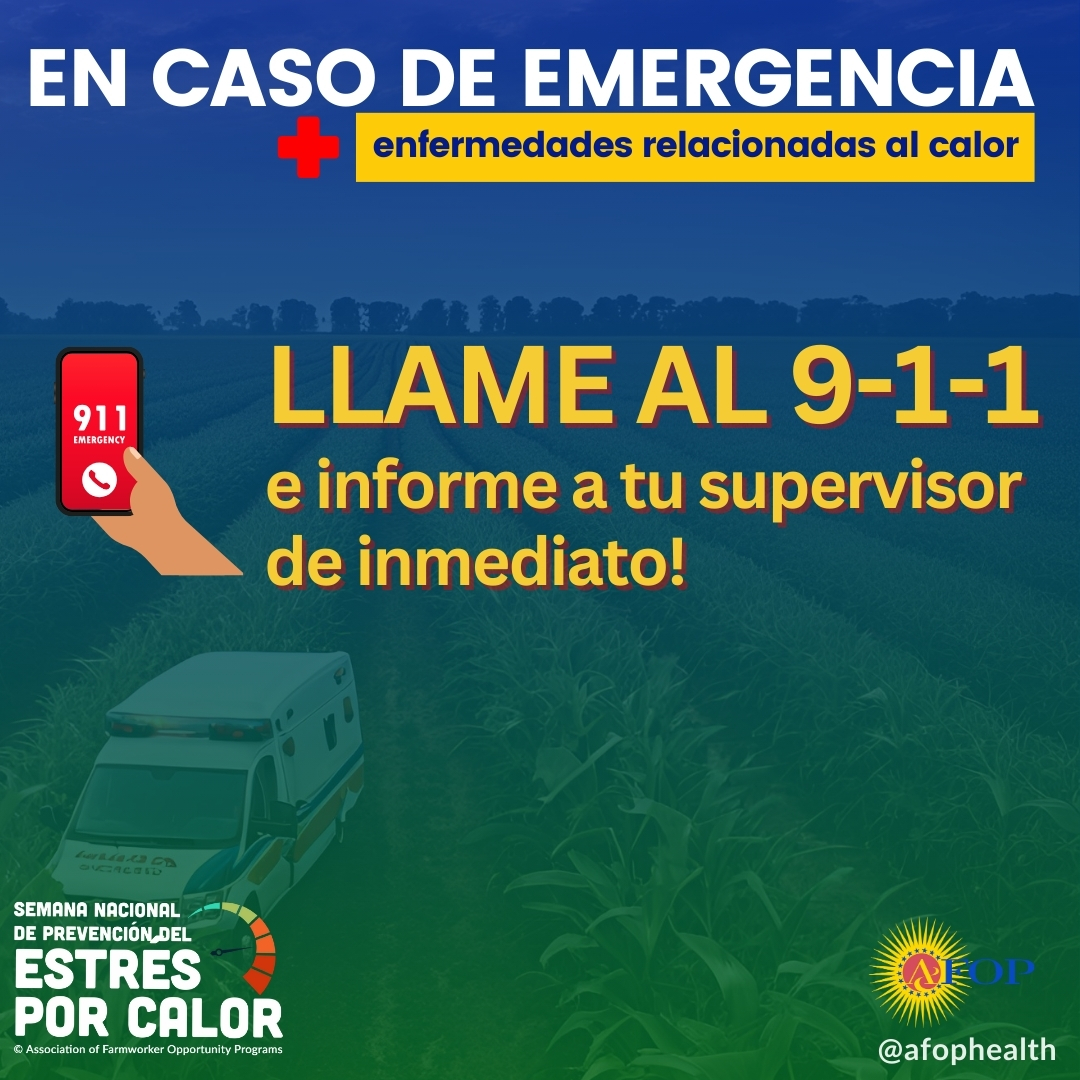 AFOPHealth&Safety tweet media