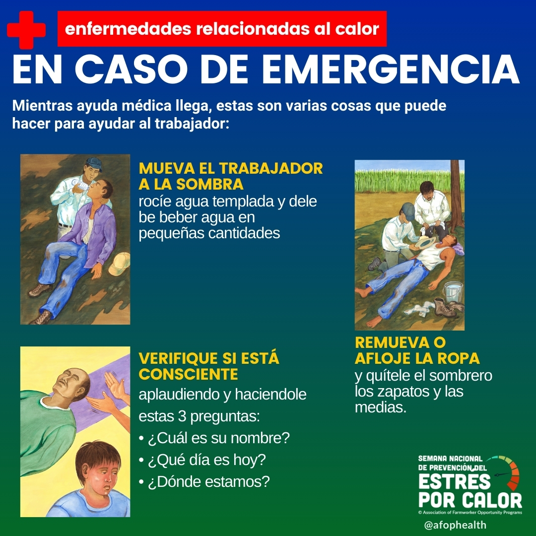 🔥¡Reconoce los signos y síntomas de una enfermedad relacionada con el calor y actúa de inmediato! Desliza para obtener más información.
#nhspw #nhspw2025 #HeatStressPrevention #FarmSafety #StayCool #waterrestshade #heatstress #heatstroke #heatrelatedillness #farmworkers
