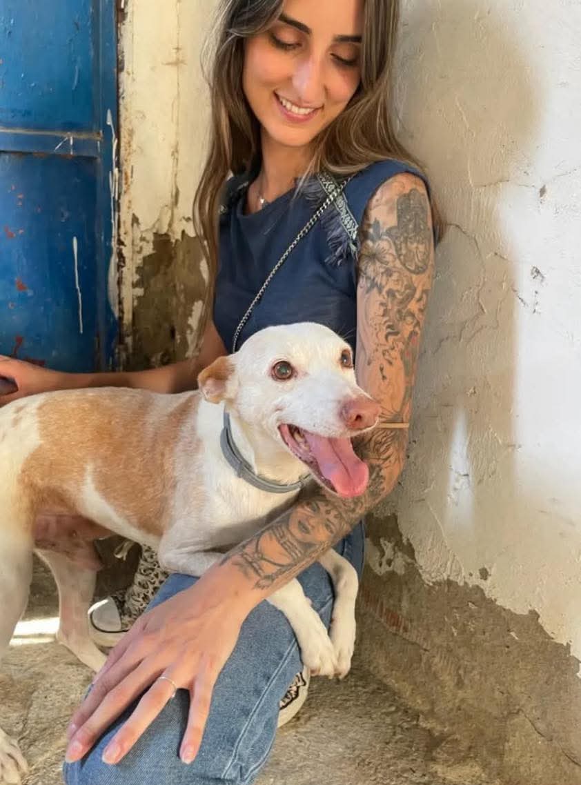 Era y sigue siendo precioso y aún sigue soñando con esa familia que siempre esperó 😞😢💔
Copio :

Hoy escribo con una mezcla de emociones difícil de explicar.

Ayer publiqué en Facebook a una bulldog en adopción y ya hemos recibido más de 55 mensajes de personas interesadas.
Y