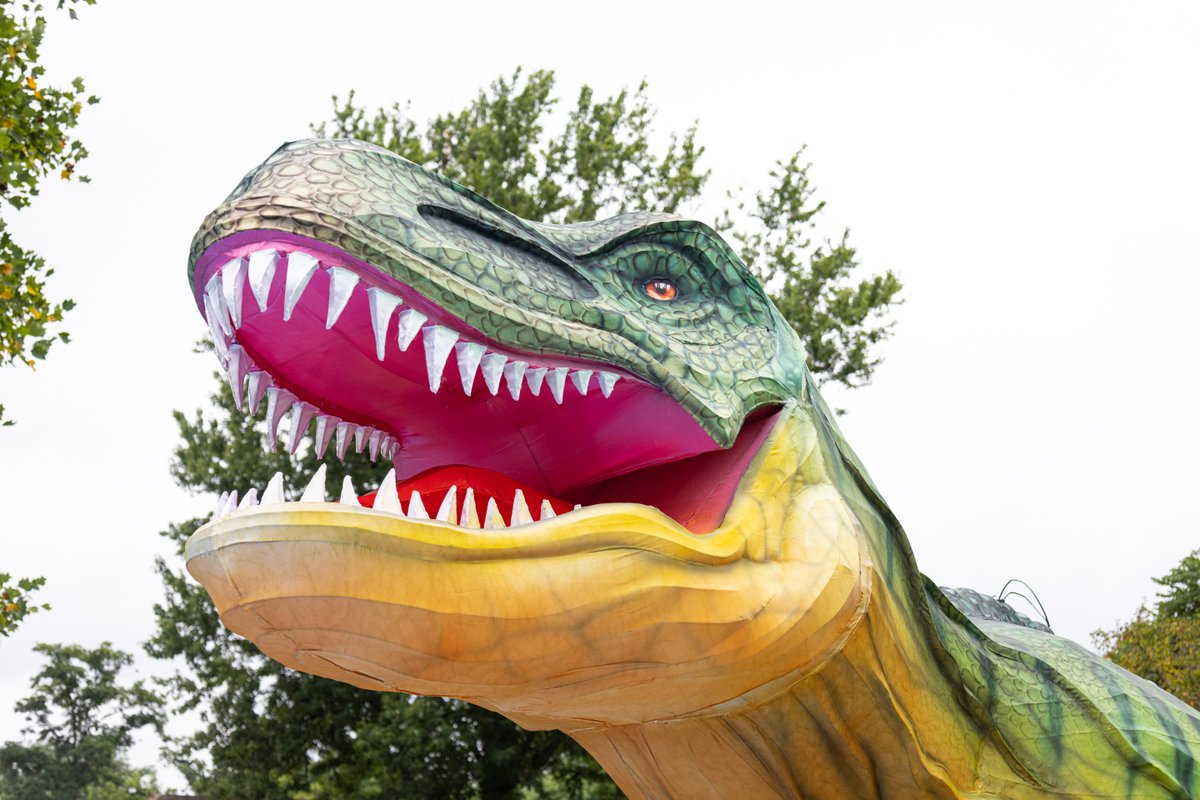 buffalozoo's tweet image. It&apos;s all coming together ✨

We&apos;re under two weeks away from the start of Zoomagination: Lantern Festival at the Buffalo Zoo on July 30, and lanterns are popping up around the Zoo!

If you think they look cool now, wait till you see them at night 😉

🎟️: bit.ly/3GwL2Qh