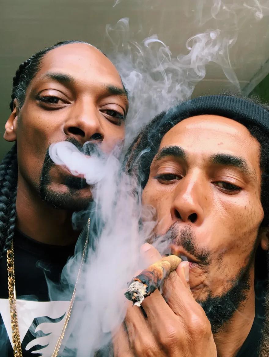 SPACECANNABIS's tweet photo. https://t.co/mlpJXP4UvG