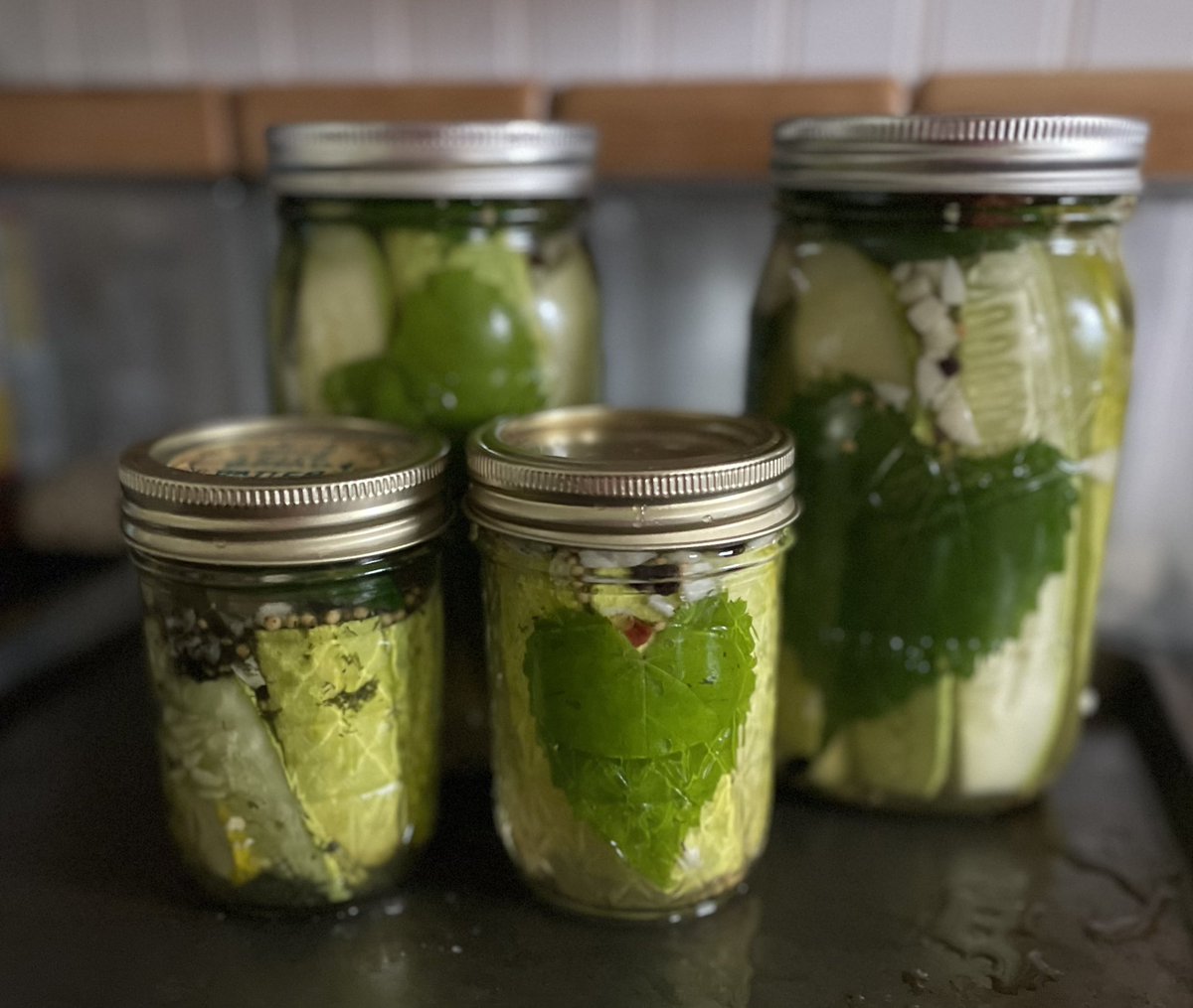 One of the girls grew cukes and made pickles (her first ones!) 
Grape leaves contain tannins and help keep the pickles from getting soggy.