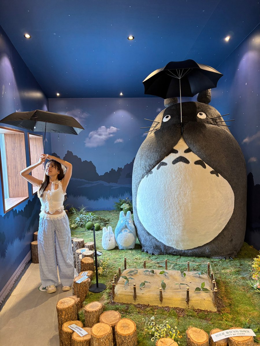 seira_churasun6's tweet image. インスタには猫バス乗った写真のせよっと♩

☔️🌱 ܸܸ ꙭ ܸ 

#済州島 #jeju #トトロ #ジブリ