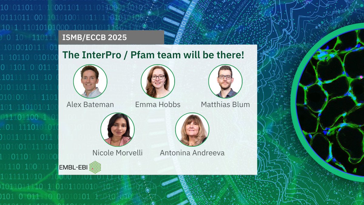 InterProDB's tweet image. 🧬 The InterPro/Pfam team will be presenting at #ISMB_ECCB2025 next week in Liverpool!
Join us July 20-24 at the world&apos;s largest #bioinformatics conference!
#ProteinAnalysis #ComputationalBiology