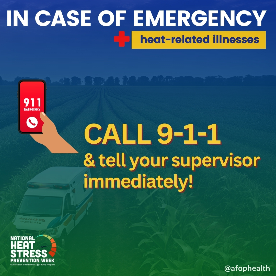 AFOPHealth&Safety tweet media