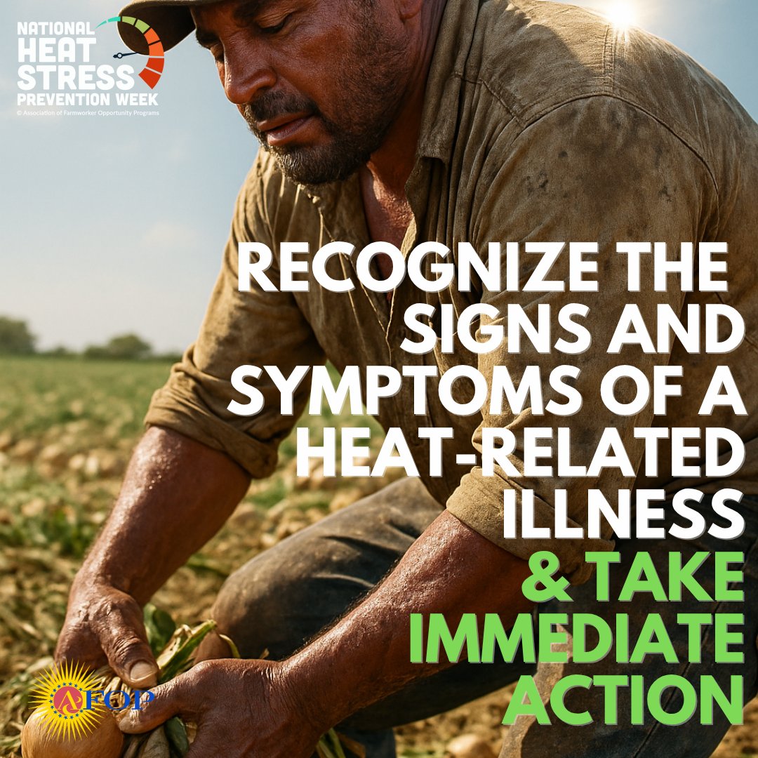 AFOPHealth&Safety tweet media