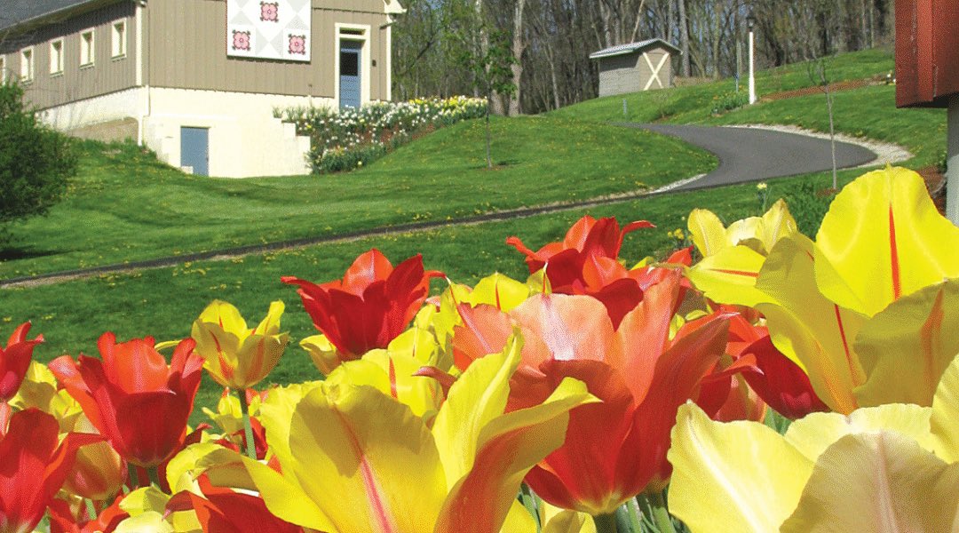 Ohio_Tourism's tweet image. Summer is the perfect time to visit Clary Gardens, Coshocton County.
myohiofun.com/clary-gardens/
@coshocton