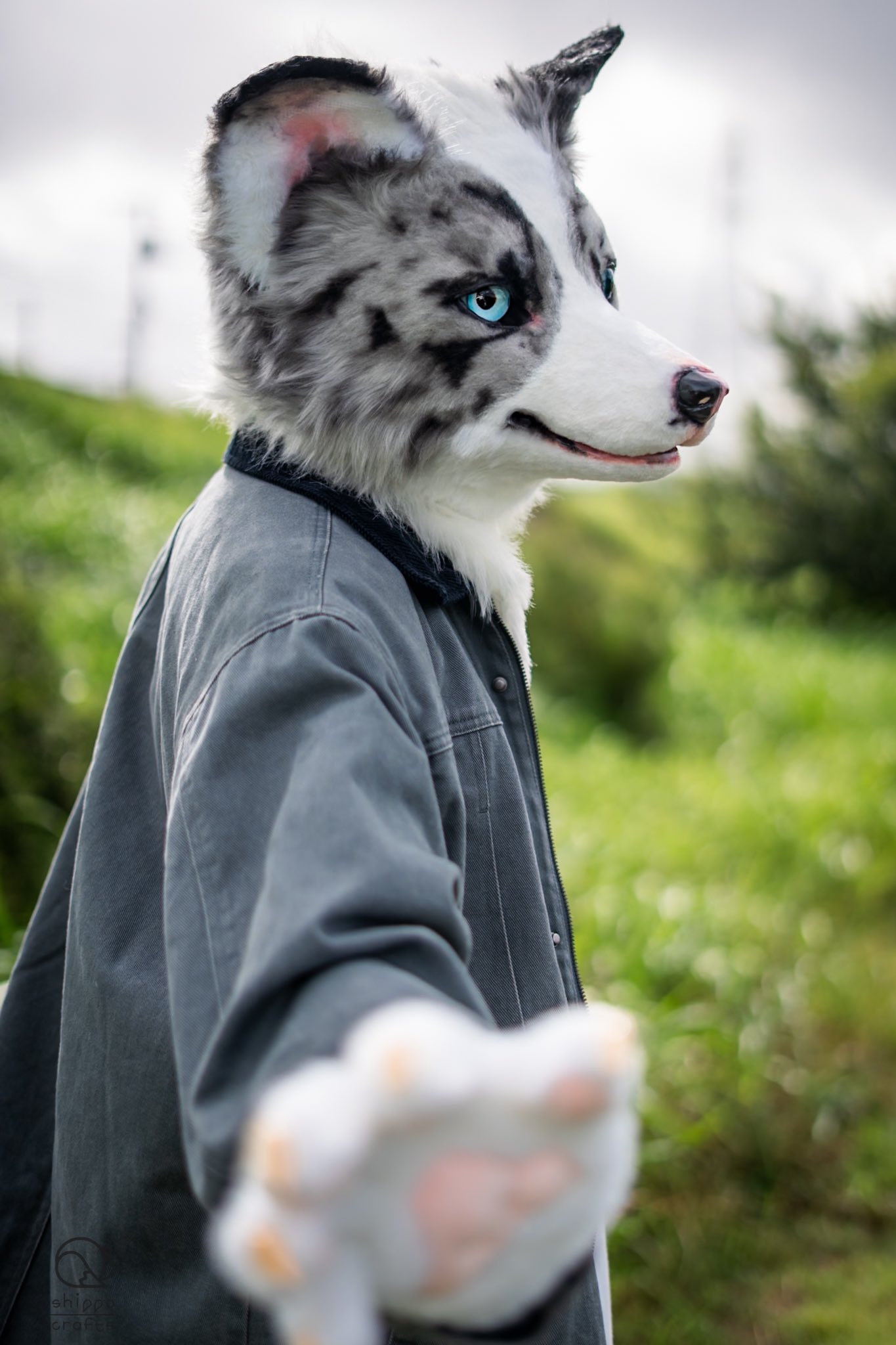 ケモノ　着ぐるみ　スニーカー 未開拓地0区@Fursuit CM open (@mikaitakuchi0ku) / X