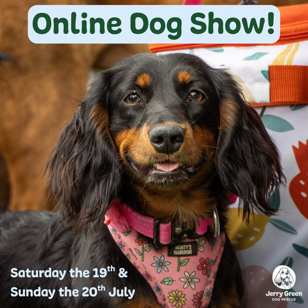The countdown is almost over…our Online Dog Show opens TOMORROW at 9am! 🐶⭐

There's something for every pup to get involved, and entering couldn't be easier: just fill out the form on our website and upload your photo(s) once we go live.

Get your best snaps ready! 📸