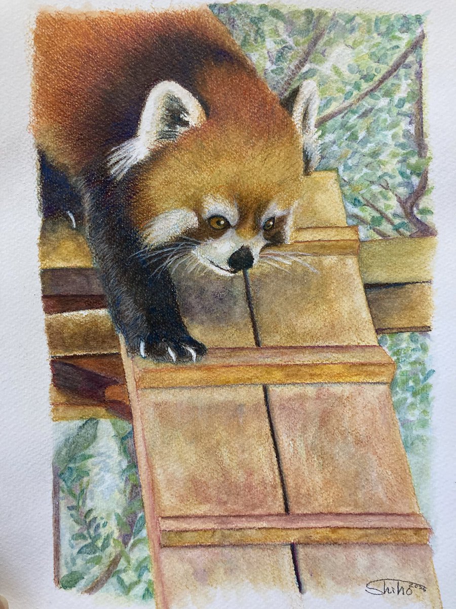 趣味探し - Search / X