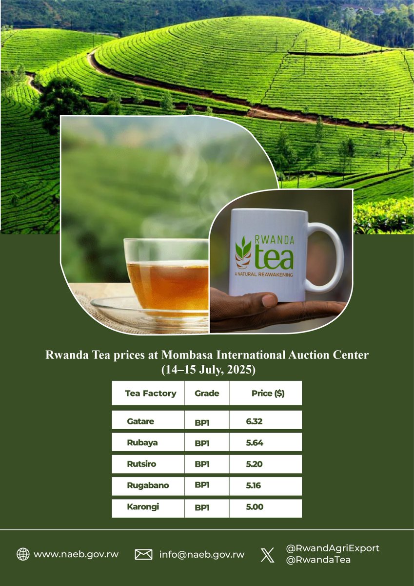 RwandAgriExport's tweet image. Rwanda tea continues to demonstrate solid performance at the Mombasa International Auction Center, with competitive prices.
Check out performance from auction 28, held this week and stay tuned for more coming updates.