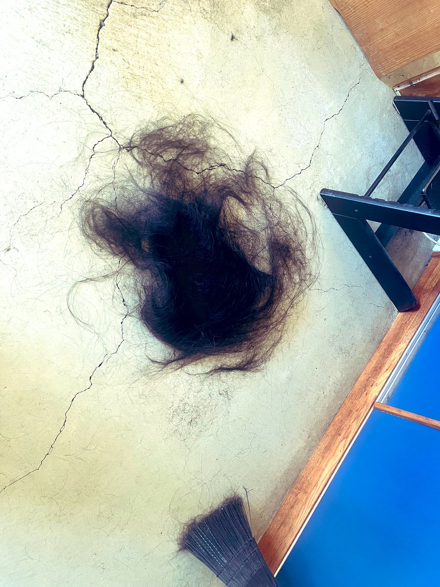 ニューセッション動画YouTubeにアップしました❤️‍🔥作業BGMにぜひ〜
youtu.be/QlXvaGi3VBk
チャンネル登録もお待ちしてます❤️‍🔥

髪切ったら小型犬1匹分の塊生まれました🐶