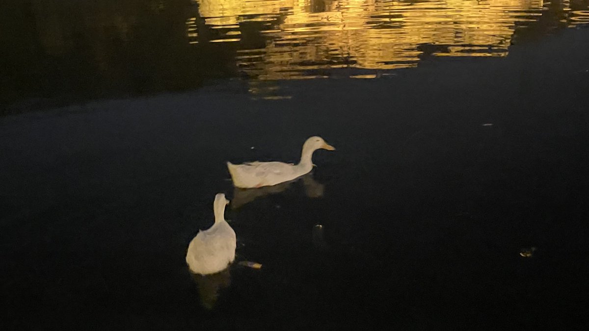 . (@v8xl9) on Twitter photo 