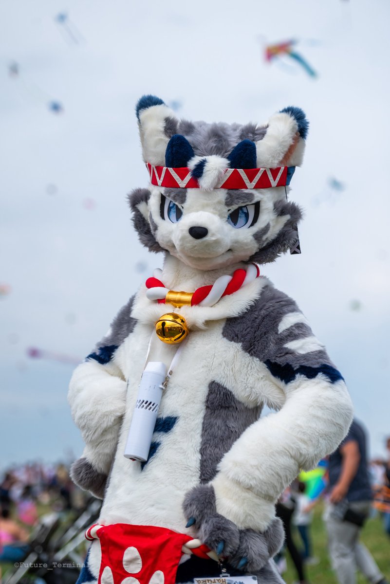 QDHfur's tweet image. 30度的好天气正适合出毛！
📸：@Future_Terminal 
#FursuitFriday