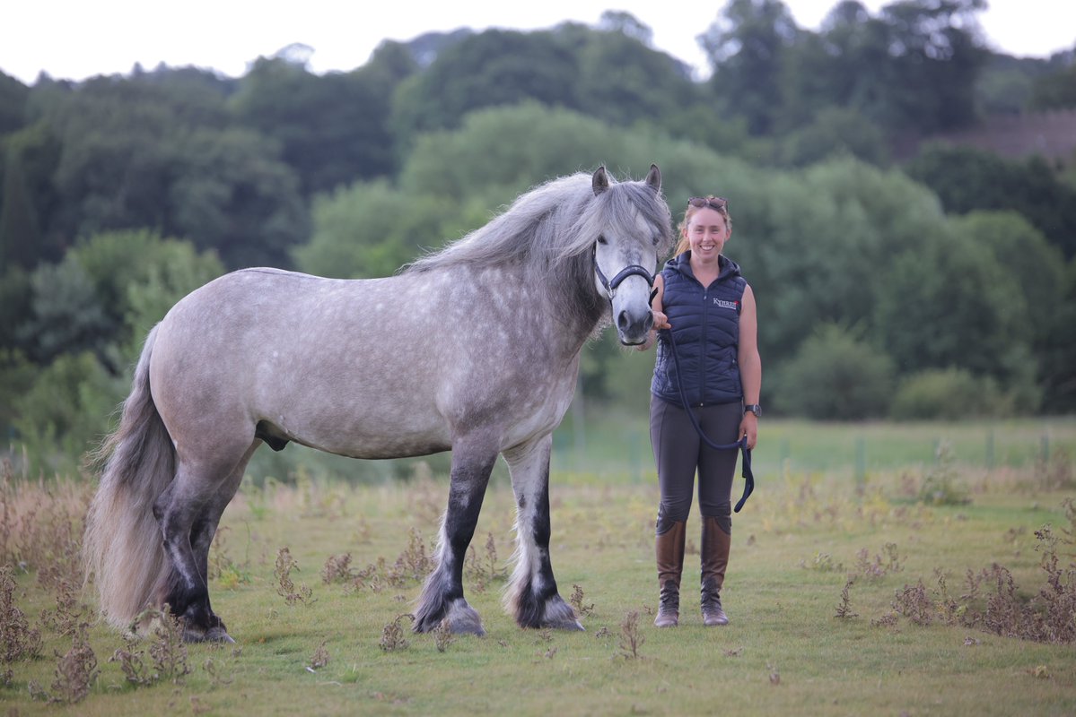 ThisisDurham's tweet image. Meet Major 🐴✨ Kynren's smallest (and sweetest) new star!
A rare Highland pony and the smallest horse in Kynren's cast at just 14.1 hands tall.
See Major in action at #Kynren this summer, every Saturday until 13 September: thisisdurham.com/kynren