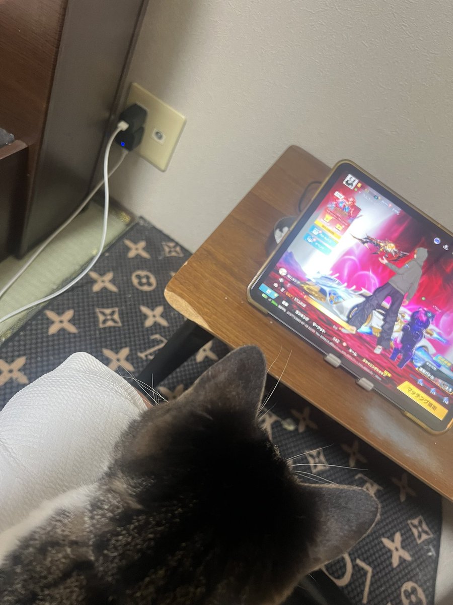 GENTLEyade's tweet photo. 今日1日出かけてたから寂しかったのか
ずーっと膝の上
寝る時も一緒に布団in

ゲームしよーかと思ったけど膝上いるから出来ず🥹
けどずっとPad眺めてる。かわよ https://t.co/PcIHV3b4uG
