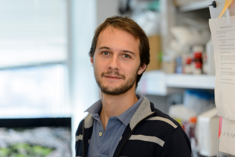 Armenise Harvard Foundation (@armeniseharvard) on Twitter photo GABRIELE IS HIRING!
Our Career Development Awardee 2025, Gabriele Ciceri is coming in Italy and the Ciceri lab will open its doors in September 2025 at the <a href="/SanRaffaeleMI/">Ospedale San Raffaele</a> <a href="/Fondaz_Telethon/">Fondazione Telethon</a> Institute for Gene Therapy (SR-Tiget) GABRIELE IS HIRING!
Our Career Development Awardee 2025, Gabriele Ciceri is coming in Italy and the Ciceri lab will open its doors in September 2025 at the <a href="/SanRaffaeleMI/">Ospedale San Raffaele</a> <a href="/Fondaz_Telethon/">Fondazione Telethon</a> Institute for Gene Therapy (SR-Tiget)