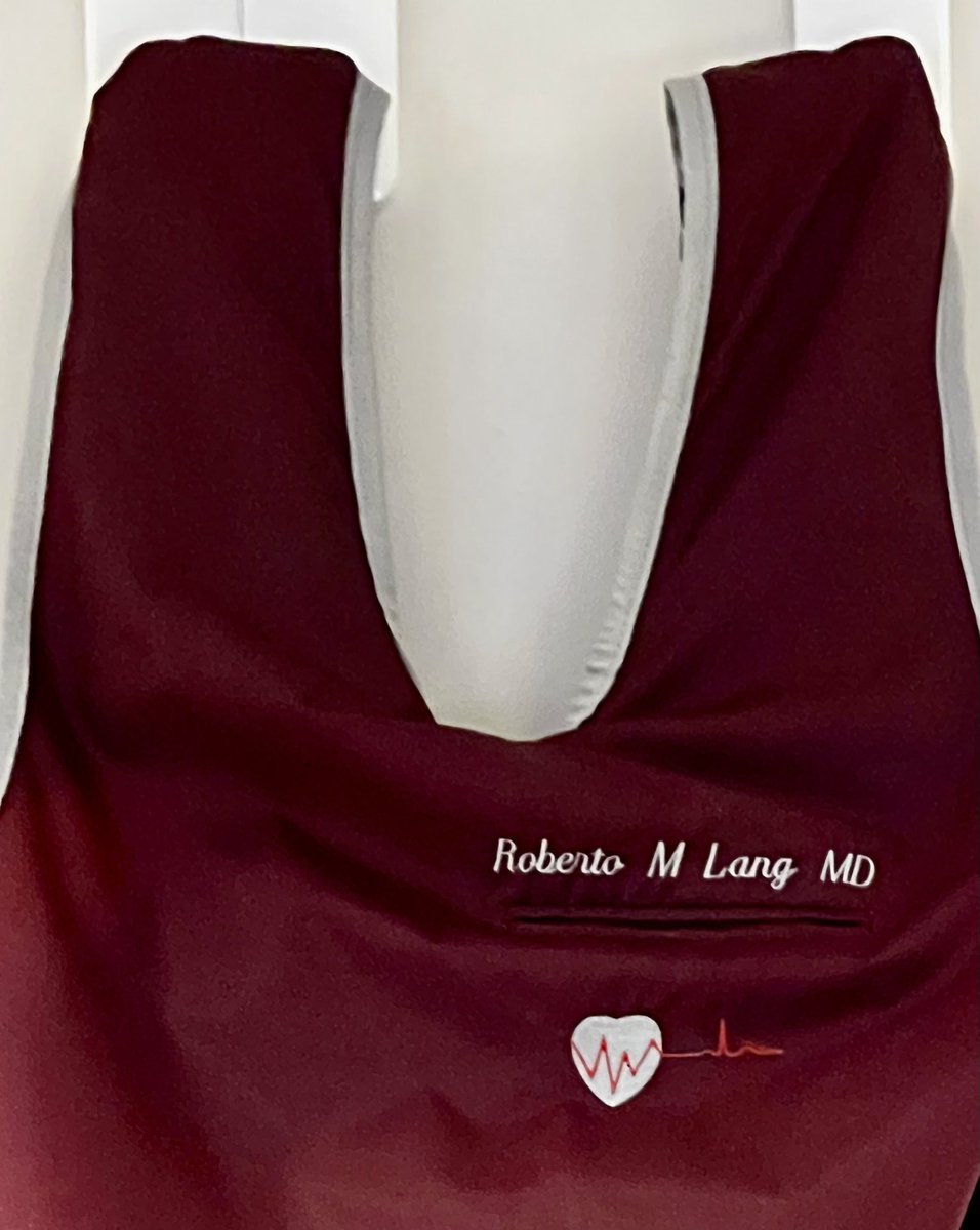 Sandeep Nathan, MD, MSc (@sandeepnathanmd) on Twitter photo This week, we raised Dr. Roberto Langâs lead to the #UChicagoCathLab rafters in tribute to our dear friend & the luminary we <a href="/UChicagoMed/">UChicago Medicine</a> had the privilege to learn so much from. Thank you for everything Roberto. You will be missed. #CardioTwitter This week, we raised Dr. Roberto Langâs lead to the #UChicagoCathLab rafters in tribute to our dear friend & the luminary we <a href="/UChicagoMed/">UChicago Medicine</a> had the privilege to learn so much from. Thank you for everything Roberto. You will be missed. #CardioTwitter
