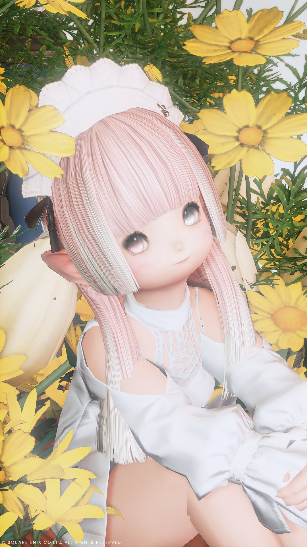 るる 🌱 on X: 