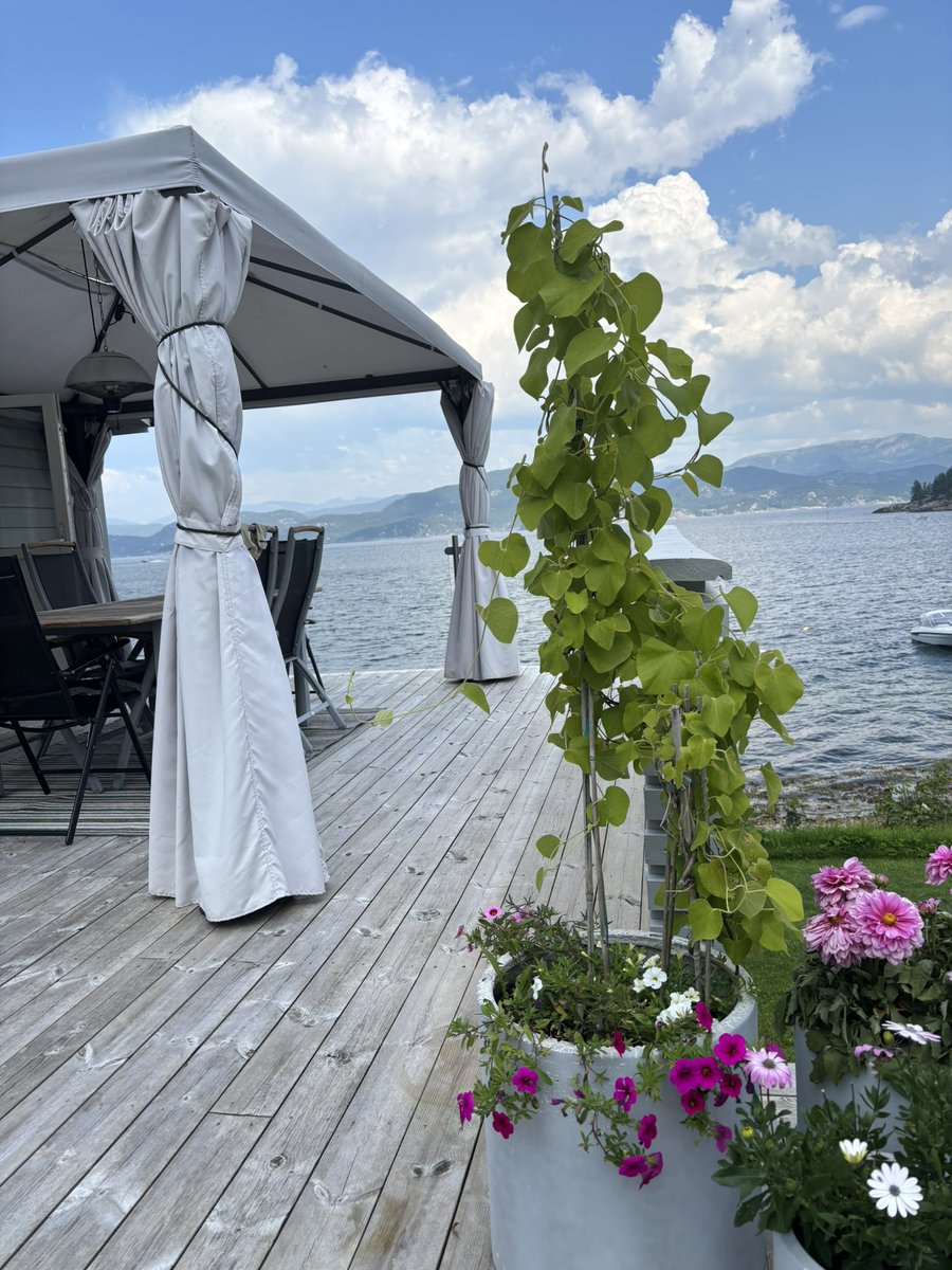 Landed, view for the next week😎🇳🇴🥂🍾