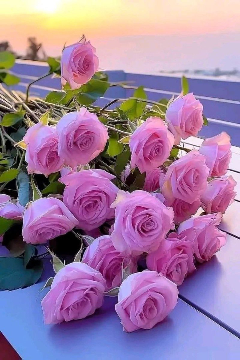 سلاما على الذين ان خاننا التعبير لم يخنهم فهم حسن نوايانا !!