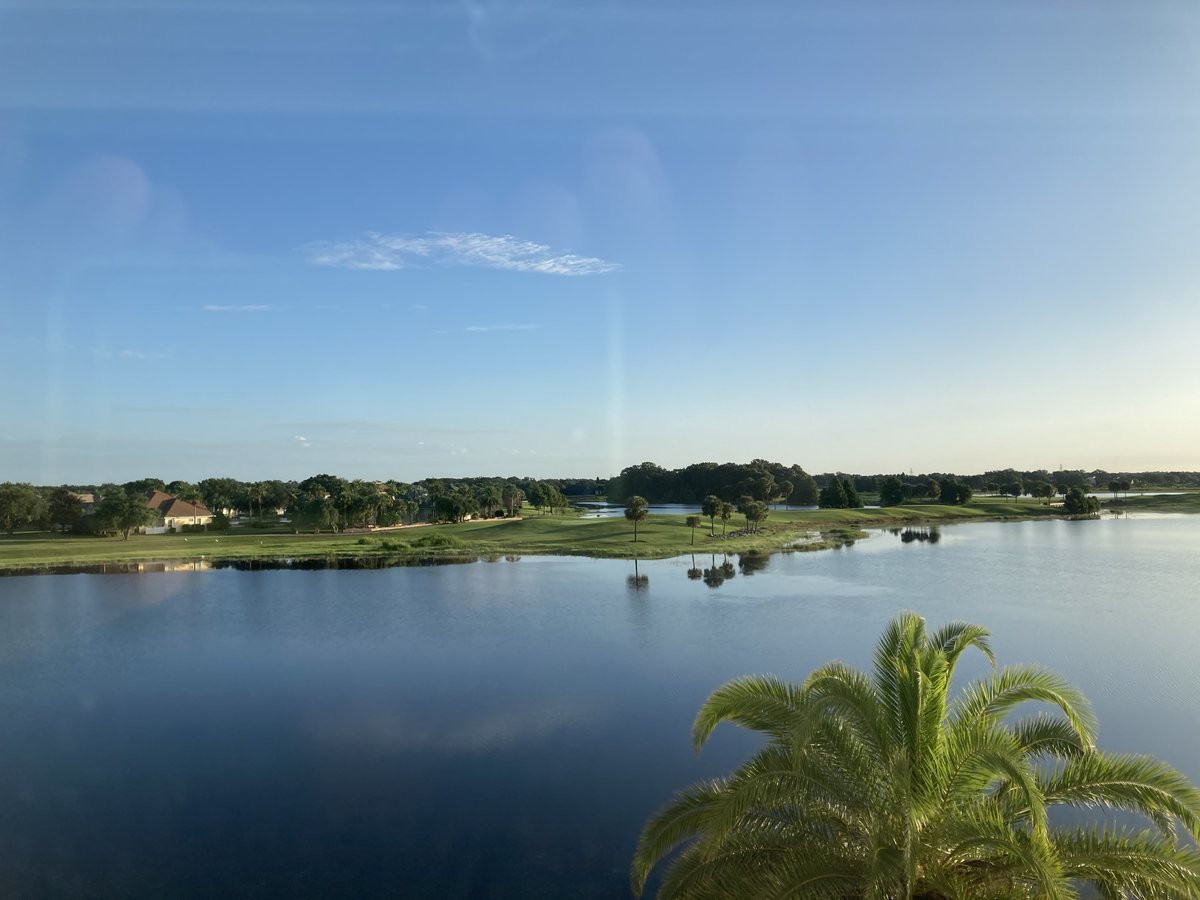 Today 2P ET - Mrs. Plansky Goes Rogue tour touches down in Mrs. P territory - <a href="/BNBuzz/">Barnes & Noble</a> Lake Sumter Market Square, FL. View from my hotel window resembles view from Mrs. P's condo. Is there a scaly buddy of Fairbanks (a supporting character) out there?
#crimefiction #Florida