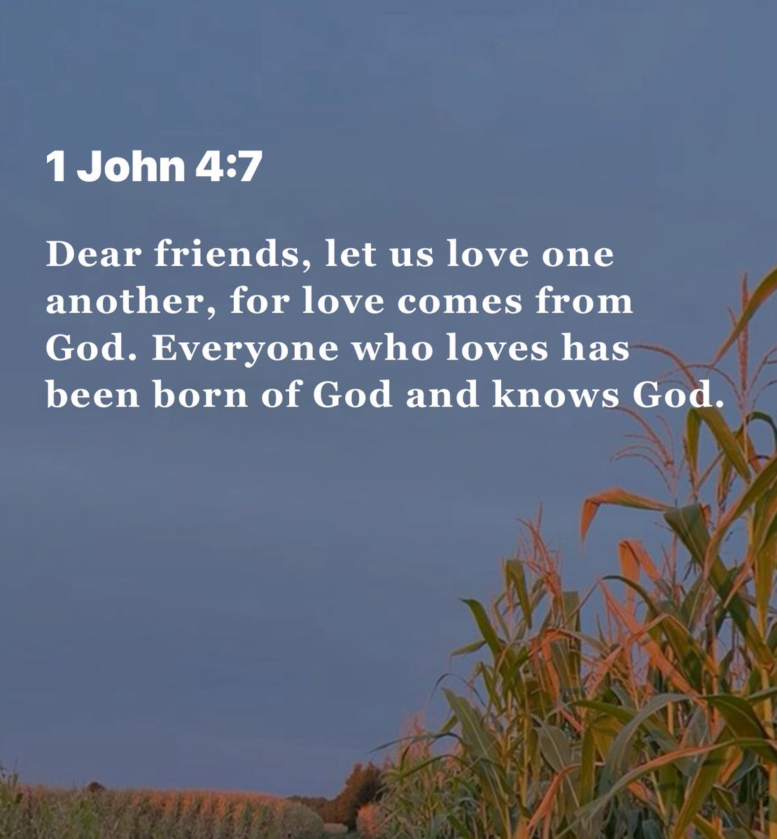BC_265's tweet image. Good morning ☀️ 
Have a fantastic Friday! 😊🙏🤍