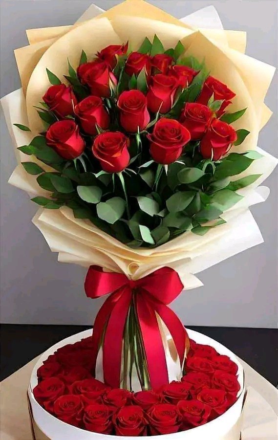 لا القلبُ ينسى ولا الأيام تنسينا
               أحبّة سكنوا يوماً مآقينا 🌹

في كلِ زاويةٍ لهم  ذكرى معطرةً
       قد أنبتت حولها ورداً ونسرينا 🌹

يا غائبينَ عن الأبصارِ مسكنكم
        بين الضّلوع فرشناها رياحينا 🌹