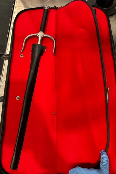 TSA's tweet image. It’s not every day that we see swords inside a carry-on bag (fortunately). Our officers at @DTWeetin discovered these last month. The passenger said they were for a martial arts competition.
Pro #TravelTip: Items like these should be safely packed in checked bags, not carry-on.