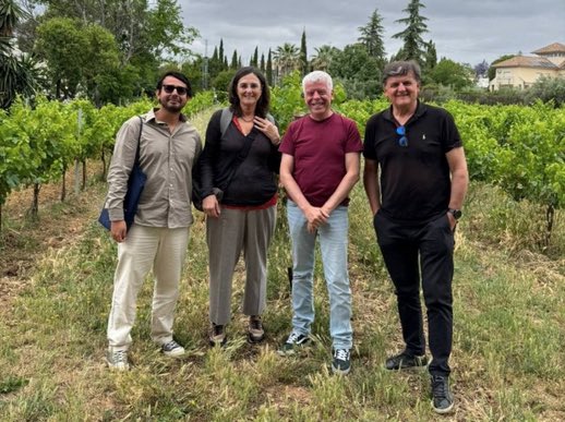 RevistaAlimenta's tweet image. #BEBIDAS | El proyecto europeo AGRIXELS da un paso clave en la digitalización del sector vitivinícola con las bodegas de Montilla-Moriles
Bodegas Alvear, Robles y Doblas se suman en la creación de un espacio de datos agroalimentario impulsado por IA
👉🏻 tinyurl.com/4f9pxute