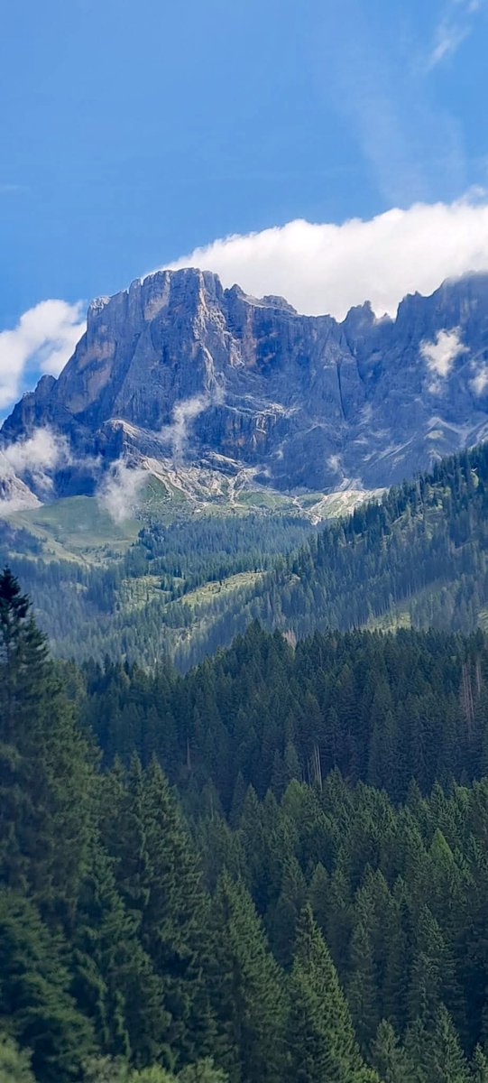 ClaudioKlarke's tweet image. E...
Dopo il mare 🏄
La montagna, un'oasi di tranquillità e natura.
#VogliaDiCambiare #SalaLettura
@SalaLettura
-Ph Clark 📷 "Passo Rolle"