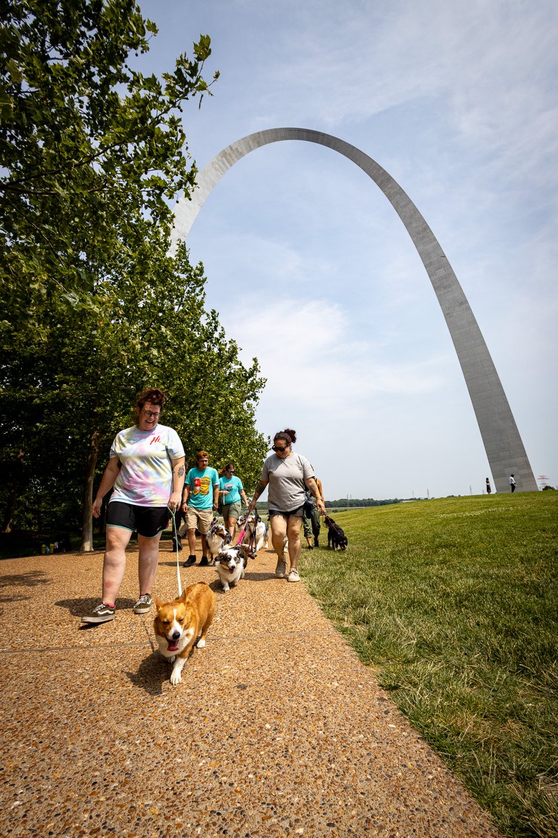 GatewayArchSTL's tweet image. Your pup deserves a latte love this weekend. ☕🐾 And I've got it at my park this Sunday!
I'll see you at 10 a.m. for the B.A.R.K. Ranger Puppuccino Crawl. Bring your doggos, grab a pup cup and enjoy a guided stroll around the national park grounds. It’s a great way to start…