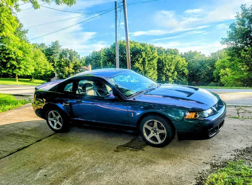 drivertodriver's tweet image. 2004 Ford Mustang SVT Cobra: Low Mileage, Stock, 390hp 4.6L Supercharged V8, RWD, Manual. drivertodriver.com/car/-OVLK3CUEy…