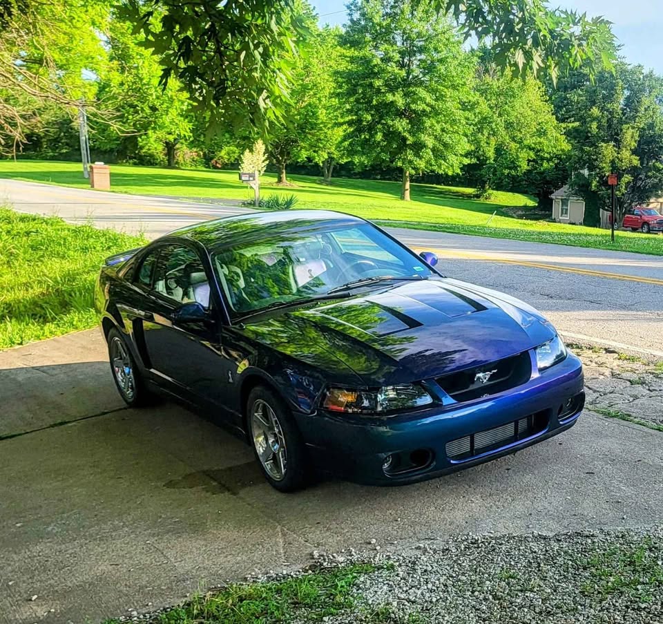 drivertodriver's tweet image. 2004 Ford Mustang SVT Cobra: Low Mileage, Stock, 390hp 4.6L Supercharged V8, RWD, Manual. drivertodriver.com/car/-OVLK3CUEy…