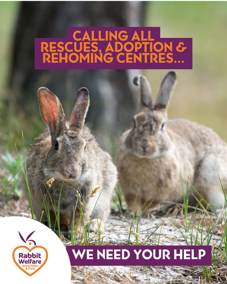 RabbitRWAF's tweet image. Calling all rescue / adoption and rehoming centres
We need your help! 🚨
Please read this post on our Facebook page to find out more:
facebook.com/RabbitRWAF/pos…