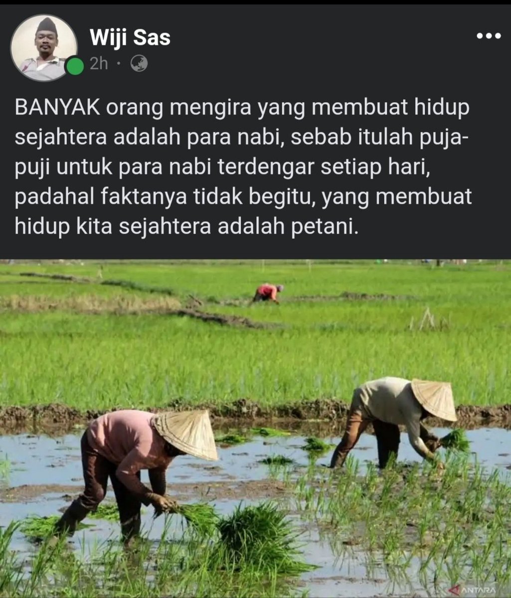 Terima Kasih Petani